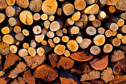 木柴,一堆,火,木头