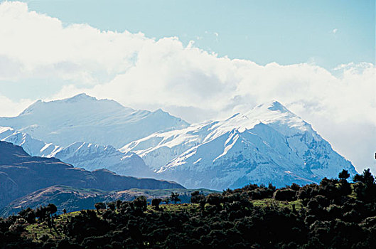 俯拍,树,山,艾斯派林山国家公园,新西兰