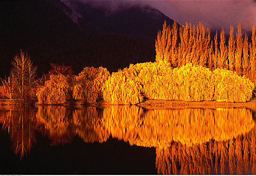 反射,湖,日落,不列颠哥伦比亚省,加拿大