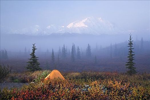 景色,旺湖,营地,帐蓬,雾,背景,德纳里峰国家公园,阿拉斯加