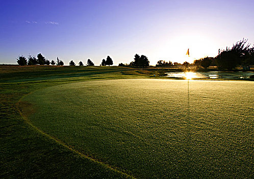 高尔夫,绿色,日出