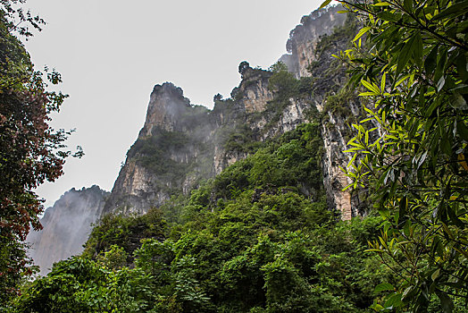 恩施,黄鹤峰,风景,景点,旅游,高山,山区,神秘,树木,植被,石头,鄂西,奇石,峡谷,壮观,云海,仙境