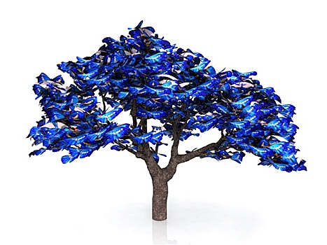 树,叶子,蓝色,蝴蝶