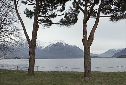 冬天,风景,科摩湖,伦巴第,意大利