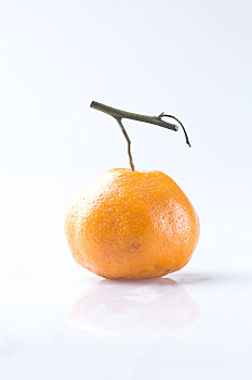 一只橘子特写