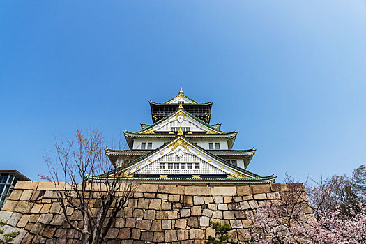 春天日本大阪城公园樱花盛开