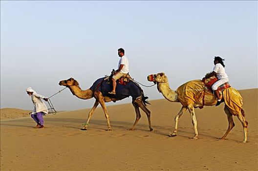 骆驼,游客,沙漠,旅游,阿布扎比,阿联酋,亚洲