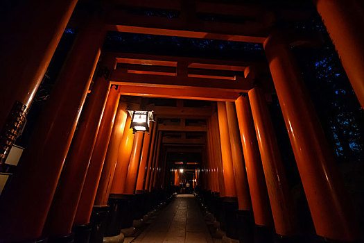 日本京都伏见稻荷大社千本鸟居夜景