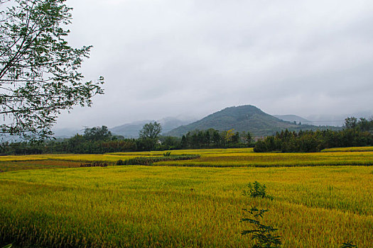 霭里村,美丽乡村,乡村旅游