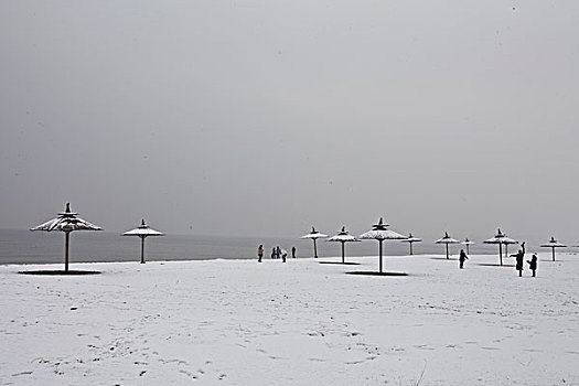 雪,海边,下雪,大海,沙滩,童话,安静,干净,秦皇岛,北戴河