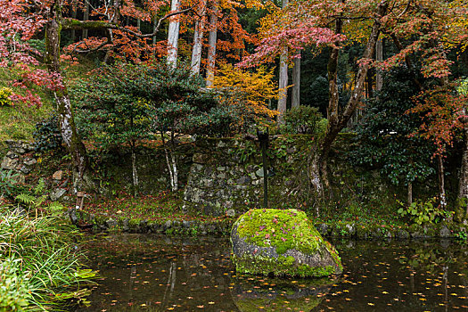 公园,季节