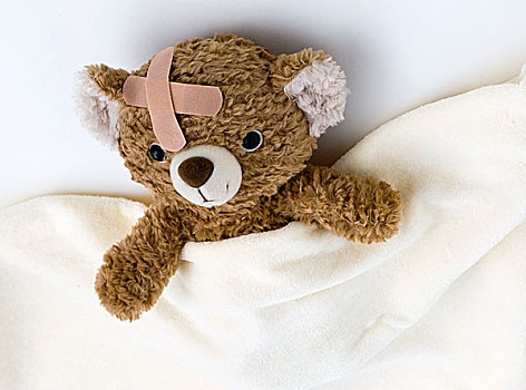 泰迪熊,疾病,床上
