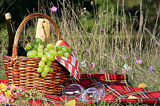 野餐篮,水果,葡萄酒,面包,地点,文字