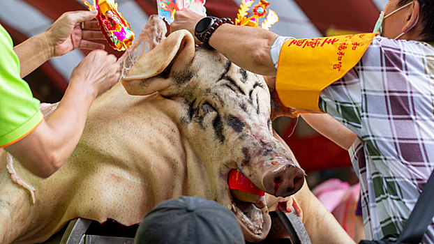 中国鬼节中元普渡信众用大神猪祭祀鬼神