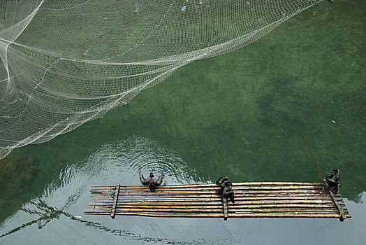 宜昌,三峡人家,长江,运输,航道,民俗,表演,风景,景点,旅游,高山,瀑布,河流,神秘,树木,植被,峡谷,壮观