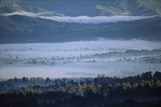 晨雾,山峦,南方,高地,巴布亚新几内亚