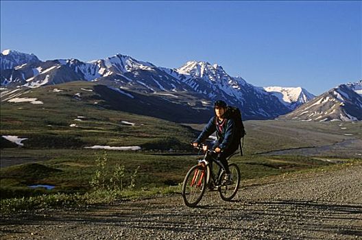 女人,骑自行车,德纳里峰国家公园,道路,室内,阿拉斯加