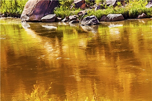 金色,黄色,褐色,科罗拉多河,反射,青草,户外,拱门国家公园,犹他