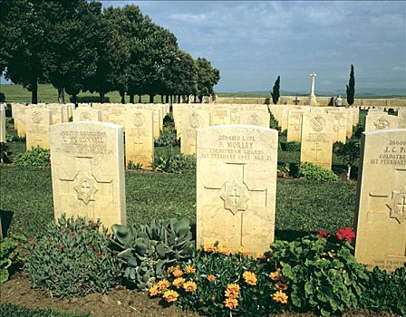 墓碑,二战,墓地,突尼斯,北非,艺术家