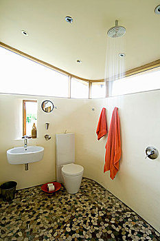 壁装式,盥洗池,靠近,卫生间,淋浴,浴室