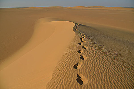 脚印,沙丘,努比亚,沙漠,北方,苏丹,非洲
