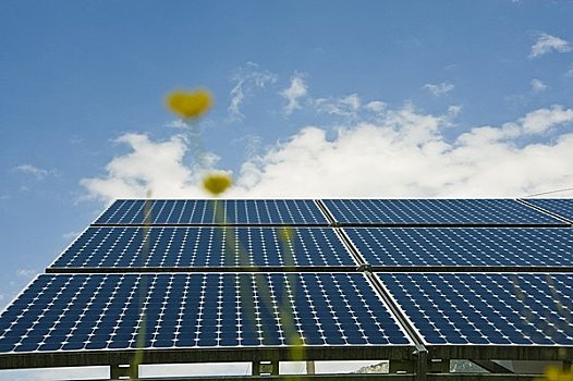 九游体育APP下载安装2025最新版
