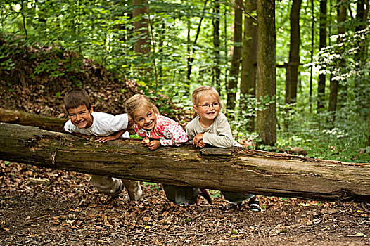 三个孩子,岁月,玩,树,树干,树林