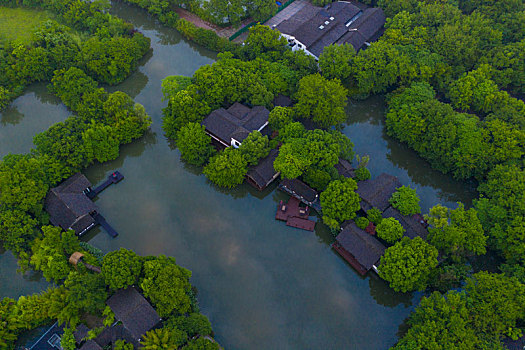 杭州西溪湿地公园清晨航拍