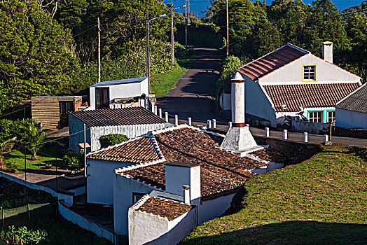 葡萄牙,亚速尔群岛,圣马利亚,岛屿,房子,传统,烟囱