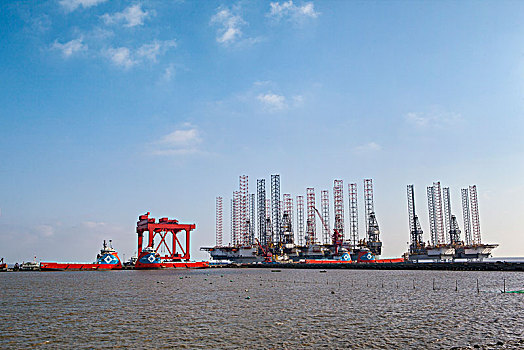 上海芦潮港