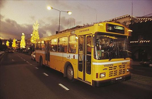 乘客,交通,巴士,圣诞节,闪电,丰沙尔,葡萄牙,欧洲
