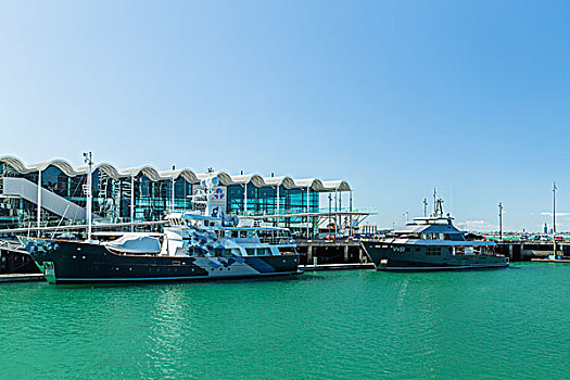 新西兰码头