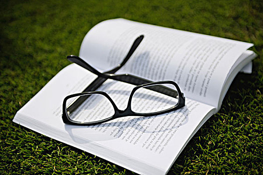 眼镜,书本,户外,草,教育,放松,学习,概念