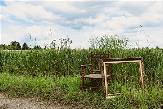 椅子,画框,自然