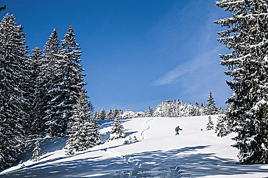 远景,男性,滑雪,走,向上,积雪,山,德国