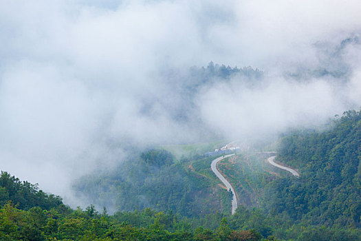 汉阴,凤凰山,云雾