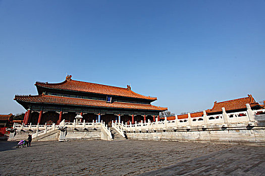 皇极殿,故宫,中国,北京,全景,地标,传统