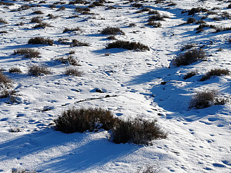 新疆哈密,雪后荒漠生态美