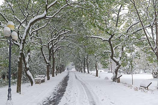 武汉东湖园林雪景