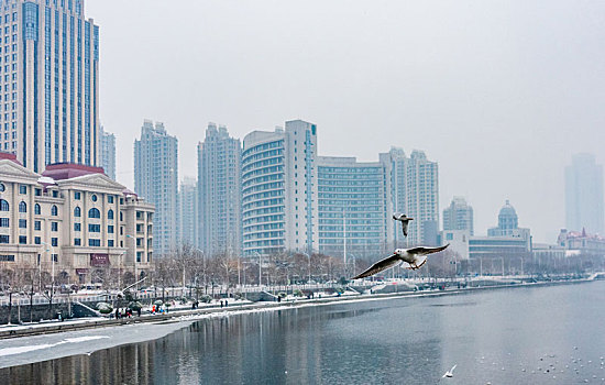 中国天津海河冬季雪景