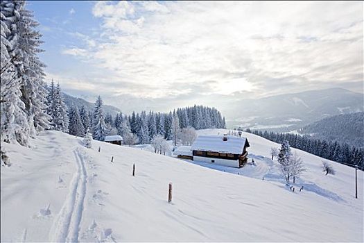 高山,小屋,积雪,林中空地,萨尔茨堡,奥地利