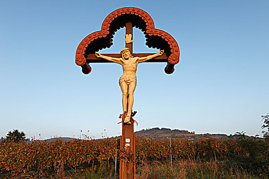 十字架,高处,多瑙河,瓦绍,山谷,区域,下奥地利州,奥地利,欧洲