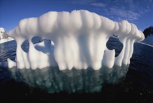 融化,碎片,冰山,海岸,南极半岛