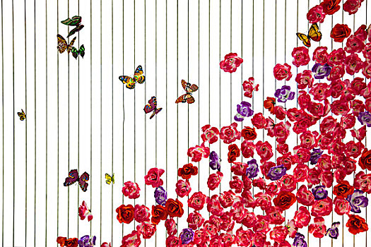 蝴蝶与花朵