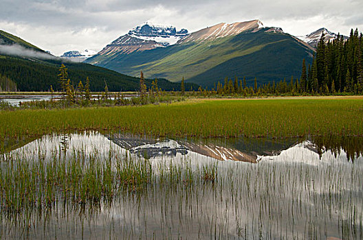 反射,山,水上,攀升,北方,萨斯喀彻温,河,班芙国家公园,艾伯塔省,加拿大
