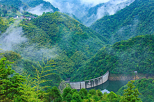 山,树林,雾气,云海,氤氲,绿色,树木,乡村