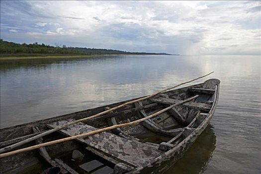 挖,室外,独木舟,捕鱼者,向上,堤岸,支流,亚马逊河,日落,亚马逊,区域,巴西