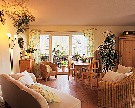 舒适,房间,木,藤条,家具,盆栽植物
