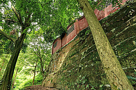 成都,嵩州市大明寺