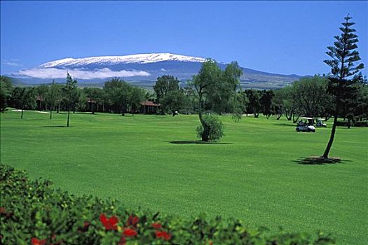 夏威夷,夏威夷大岛,柯哈拉海岸,莫纳克亚,高尔夫球道,瓦克拉,乡村